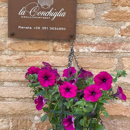 La Conchiglia - * Sirolo