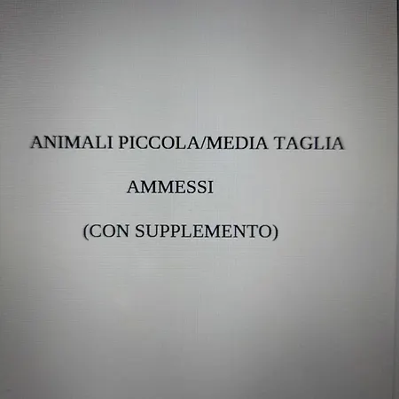 La Conchiglia -