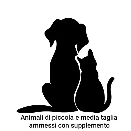 Lägenhet La Conchiglia - *