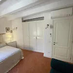 La Conchiglia -