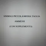 La Conchiglia -