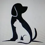 La Conchiglia -