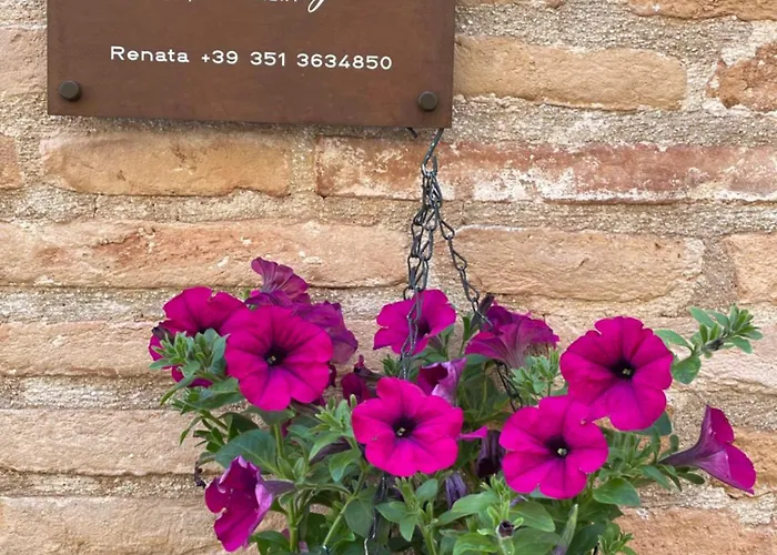 La Conchiglia - * Sirolo