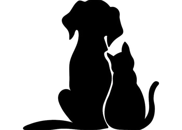 Διαμέρισμα La Conchiglia - *